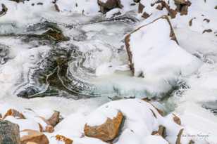 Boulder Creek-8073.jpg Boulder Creek-8073.jpg